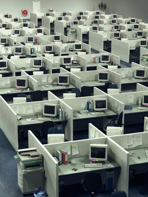 An open-plan office of identical cubicles, each with the same computer on it